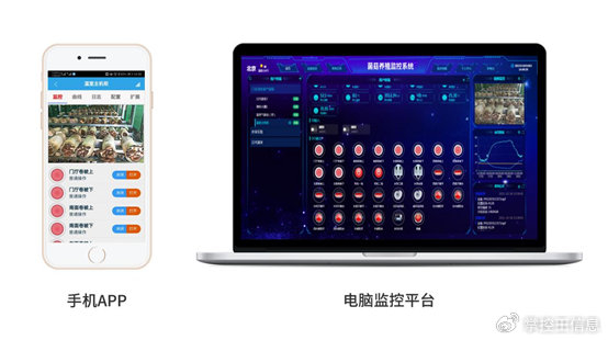 智慧農業新篇章 菌菇智能溫室管理系統，開啟精準高效種植新時代